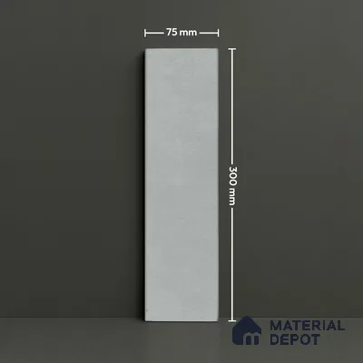 Subway Wall Tile TL 07368 B Trend Silver 300 mm x 75 mm Matte Finish Vitrified Tile - 8.5 mm | 4 Random Design | Suitable For Bathroom, Kitchen Backsplash
