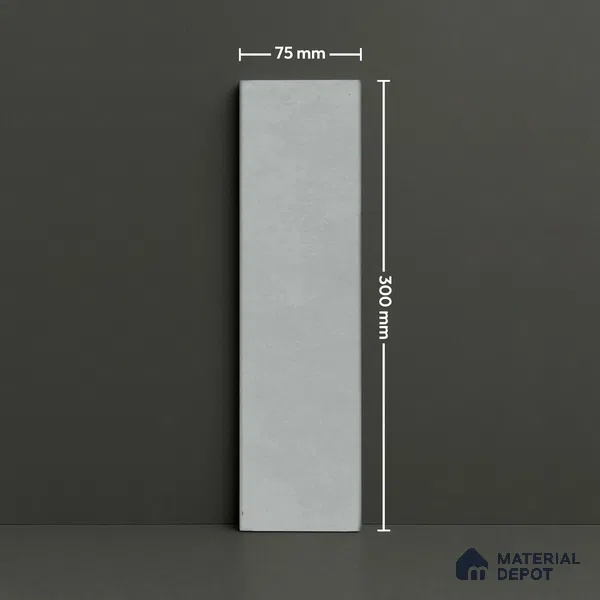 Subway Wall Tile TL 07368 B Trend Silver 300 mm x 75 mm Matte Finish Vitrified Tile - 8.5 mm | 4 Random Design | Suitable For Bathroom, Kitchen Backsplash
