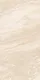 Ivory Beige