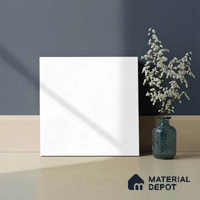 Plain Floor Tile TL 06490 G   12 inch x 12 inch Ceramic Matte Finish - 8 mm | Suitable for Bathroom (Sample)