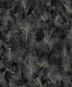 WP6503 | 9.5 Meter x 21 Inch Vinyl Base Paper Patterned Look Wallpaper - 54.54 Sq. Ft. Image 01