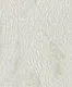 WP6524 | 9.5 Meter x 21 Inch Vinyl Base Paper Patterned Look Wallpaper - 54.54 Sq. Ft. Image 01