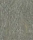 WP6525 | 9.5 Meter x 21 Inch Vinyl Base Paper Patterned Look Wallpaper - 54.54 Sq. Ft.  Image 01