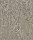 WP6528 | 9.5 Meter x 21 Inch Vinyl Base Paper Patterned Look Wallpaper - 54.54 Sq. Ft. Image 01