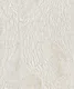 WP6530 | 9.5 Meter x 21 Inch Vinyl Base Paper Patterned Look Wallpaper - 54.54 Sq. Ft. Image 01