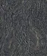 WP6523 | 9.5 Meter x 21 Inch Vinyl Base Paper Patterned Look Wallpaper - 54.54 Sq. Ft. Image 01