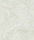 WP6548 | 9.5 Meter x 21 Inch Vinyl Base Paper Florals Look Wallpaper - 54.54 Sq. Ft.  Image 01