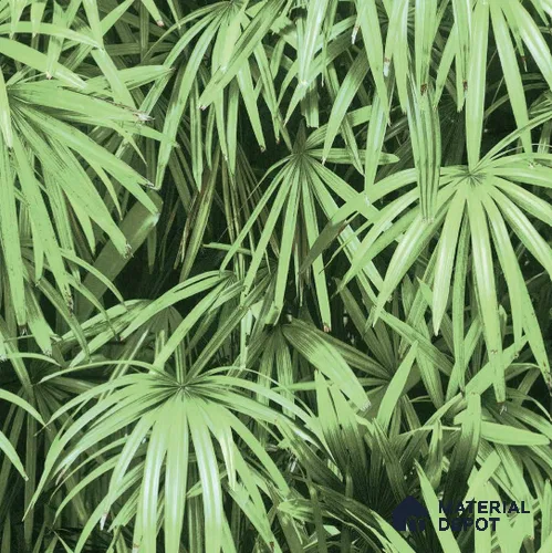 N-5001-2 | 10 Meter x 21 Inches Nature look Wallpaper - 57.41 Sq. Ft. | Minimum 15% wastage during installation