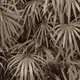 N-5001-4 | 10 Meter x 21 Inches Nature look Wallpaper - 57.41 Sq. Ft. Image 01