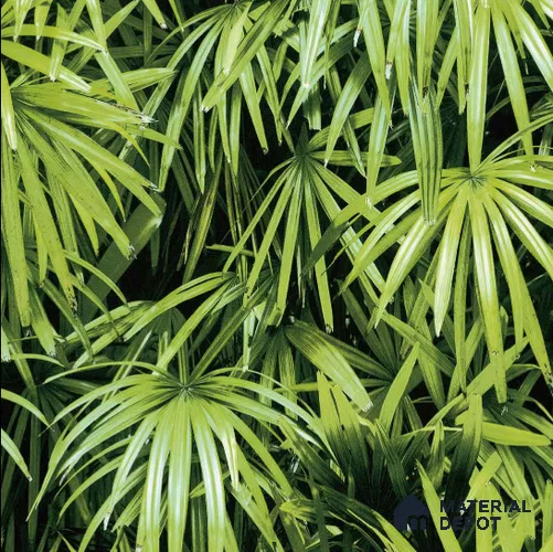 N-5001-1 | 10 Meter x 21 Inches Nature look Wallpaper - 57.41 Sq. Ft. | Minimum 15% wastage during installation