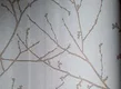 10192-2 | 10 Meter x 21 Inch Non Woven Florals Look Wallpaper - 57 Sq. Ft.  Image 01