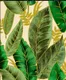 KA 7001 | 10 Meter x 20.86 Inches Florals Look PVC Wallpaper - 56.94 Sq. Ft Image 01