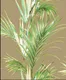 KA 7032 | 10 Meter x 20.86 Inches Florals Look PVC Wallpaper - 56.94 Sq. Ft Image 01