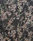 A close-up of a6012 | 10 Meter x 21 Inches Florals Look Wallpaper - 57 Sq. Ft. available at Material Depot in Bangalore