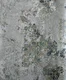 A close-up of a6021 | 10 Meter x 21 Inches Patterned Look Wallpaper - 57 Sq. Ft. available at Material Depot in Bangalore