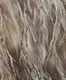 A close-up of a6032 | 10 Meter x 21 Inches Patterned Look Wallpaper - 57 Sq. Ft. available at Material Depot in Bangalore