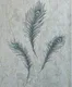 A close-up of a6035 | 10 Meter x 21 Inches Florals Look Wallpaper - 57 Sq. Ft. available at Material Depot in Bangalore