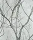 A close-up of a6046 | 10 Meter x 21 Inches Florals Look Wallpaper - 57 Sq. Ft. available at Material Depot in Bangalore