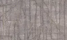 A close-up of a1511-07 | 5 Meter x 42 Inches Texture Look Wallpaper - 57 Sq. Ft. available at Material Depot in Bangalore