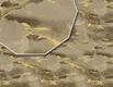 A close-up of a23708 | 10 Meter x 21 Inches Patterned Look Wallpaper - 57 Sq. Ft. available at Material Depot in Bangalore
