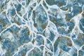 SK7630 | 10 Meter x 21 Inch PVC Abstract Look Wallpaper - 57 Sq. Ft.  Image 01