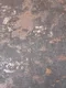 RD2556 | 5 Meter x 42 Inch PVC Texture Look Wallpaper - 57 Sq. Ft.  Image 01