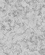 A close-up of aN10-6 | 10 Meter x 21 Inches Marble Look Wallpaper - 57.41 Sq. Ft. available at Material Depot in Bangalore