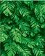 A close-up of aN1-1 | 10 Meter x 21 Inches Florals Look Wallpaper - 57.41 Sq. Ft.  available at Material Depot in Bangalore