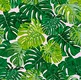 A close-up of aN4-1 | 10 Meter x 21 Inches Florals Look Wallpaper - 57.41 Sq. Ft.  available at Material Depot in Bangalore