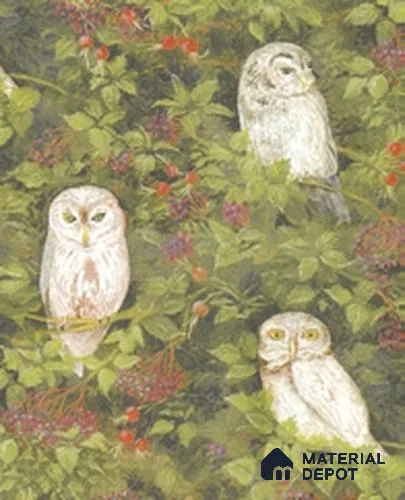 10305-1 | 17ft x 3.5 ft (42 Inches) Nature Look Wallpaper - 59 Sq. Ft. | Minimum 15% wastage during installation