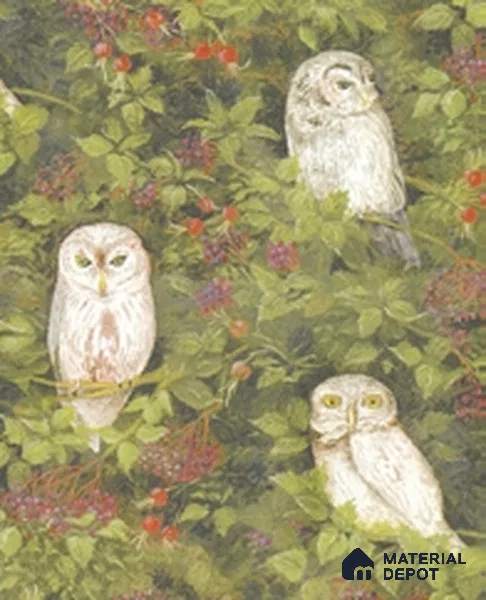 10305-1 | 17ft x 3.5 ft (42 Inches) Nature Look Wallpaper - 59 Sq. Ft. | Minimum 15% wastage during installation