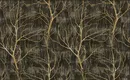 A close-up of a217001 | 10 Meter x 21 Inches Nature Look Wallpaper - 57.37 Sq. Ft.  available at Material Depot in Bangalore