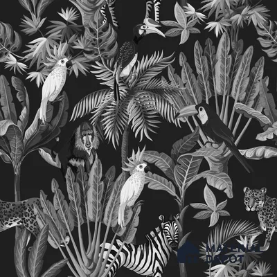 TROP - 15A | Tropical Series Nature Look 50 inches Premium Paper (Customized Size Wallpaper)