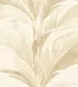 81347-2 | 5 Meter x 42 Inch  Tropical Look Wallpaper - 57 Sq. Ft.  Image 01