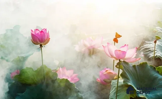 Lotus at Dawn Tropical Mist Nature Art | WP 04006 B Canvas Texture Finish Florals Style luxurious Customized size Wallpaper | 250 GSM WP01CNF Paper | (MOQ = 30 Sq. Ft.)
