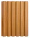 Teak