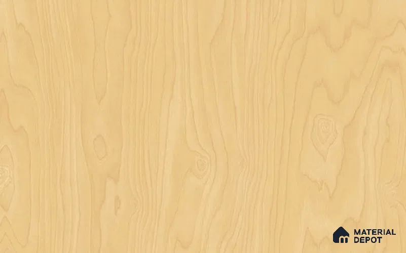 CW590 (EW590) Birch 1 Meter x 4 ft Wood Series Film - 0.4 mm