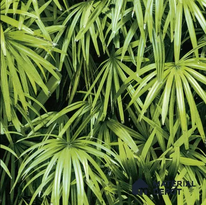 N-5001-1 | 10 Meter x 21 Inches Nature look Wallpaper - 57.41 Sq. Ft. | Minimum 15% wastage during installation