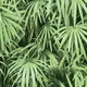 N-5001-2 | 10 Meter x 21 Inches Nature look Wallpaper - 57.41 Sq. Ft. Image 01