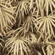 N-5001-3 | 10 Meter x 21 Inches Nature look Wallpaper - 57.41 Sq. Ft. Image 01
