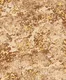 WK27-2759 | 10 Meter x 21 Inches Patterned look Wallpaper - 57.41 Sq. Ft. Image 01