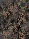 WP539 | 9.5 Meter x 21 Inches Florals look Wallpaper - 54.54 Sq. Ft. Image 01