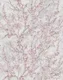 WP541 | 9.5 Meter x 21 Inches Florals look Wallpaper - 54.54 Sq. Ft. Image 01