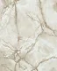 WP901-12 | 9.5 Meter x 21 Inches Marble look Wallpaper - 54.54 Sq. Ft. Image 01