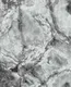 WP901-13 | 9.5 Meter x 21 Inches Marble look Wallpaper - 54.54 Sq. Ft. Image 01