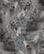 WP901-16 | 9.5 Meter x 21 Inches Patterned look Wallpaper - 54.54 Sq. Ft. Image 01