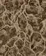 WP901-4 | 9.5 Meter x 21 Inches Texture look Wallpaper - 54.54 Sq. Ft. Image 01