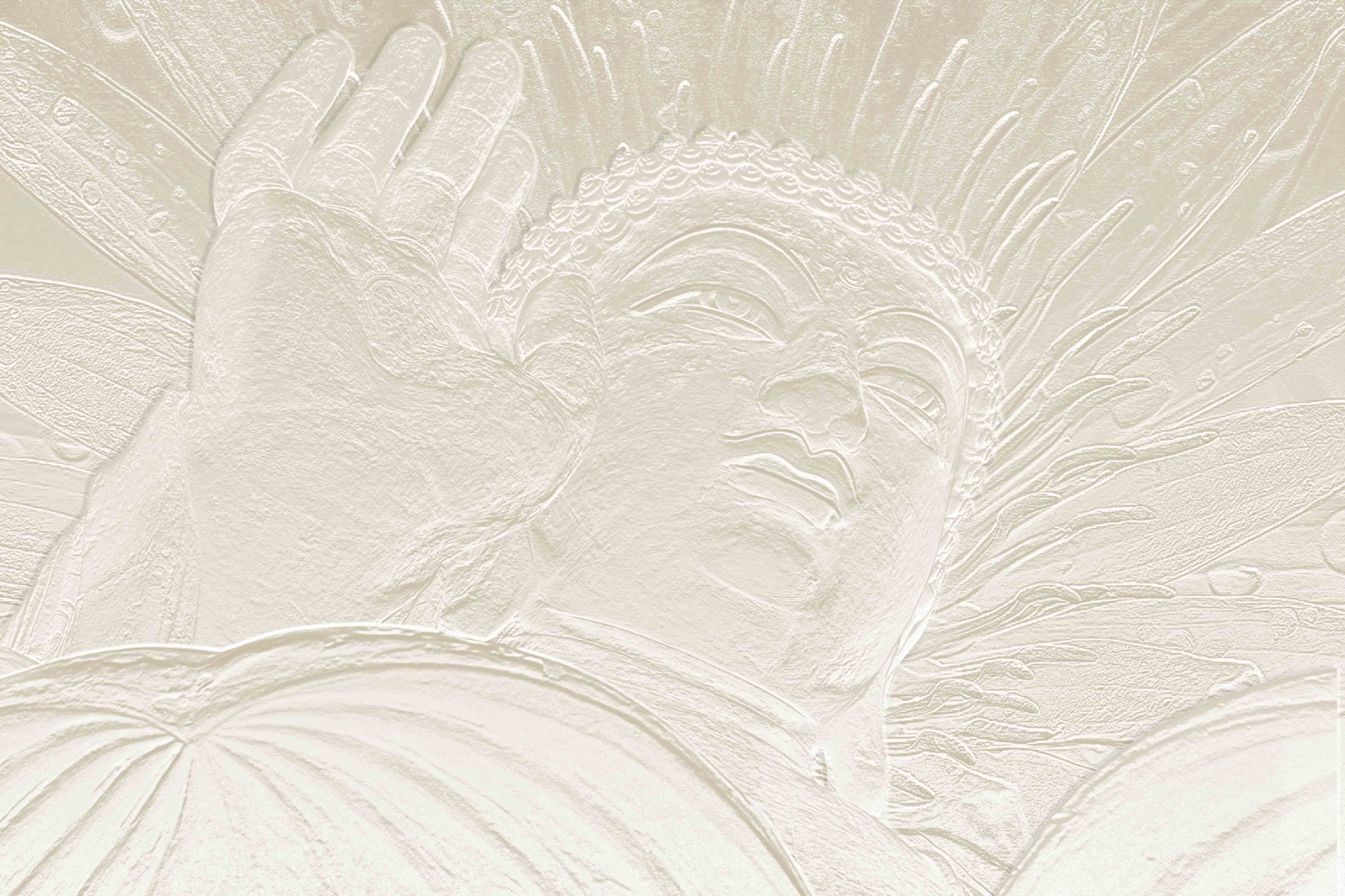 A close-up of a BUD - 17 | Bhuddha Series Abstract Look 40 inches Sandblast Paper (Customized Size Wallpaper) available at Material Depot in Bangalore