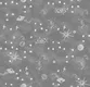 A close-up of a PHM039 - 6 | Kid Series Space Look 40 inches Sandblast Paper (Customized Size Wallpaper) available at Material Depot in Bangalore