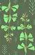A close-up of a POS018-12 | Modern Series Florals Look 40 inches Canvas Paper (Customized Size Wallpaper) available at Material Depot in Bangalore